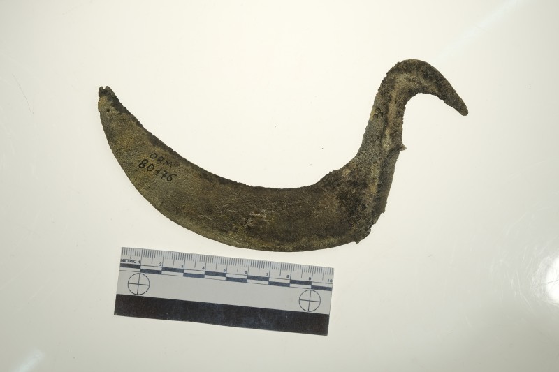 Серп гачкоподібний