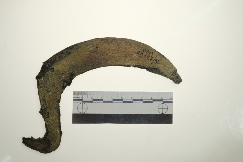 Серп гачкоподібний