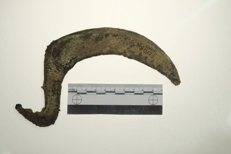 Серп гачкоподібний