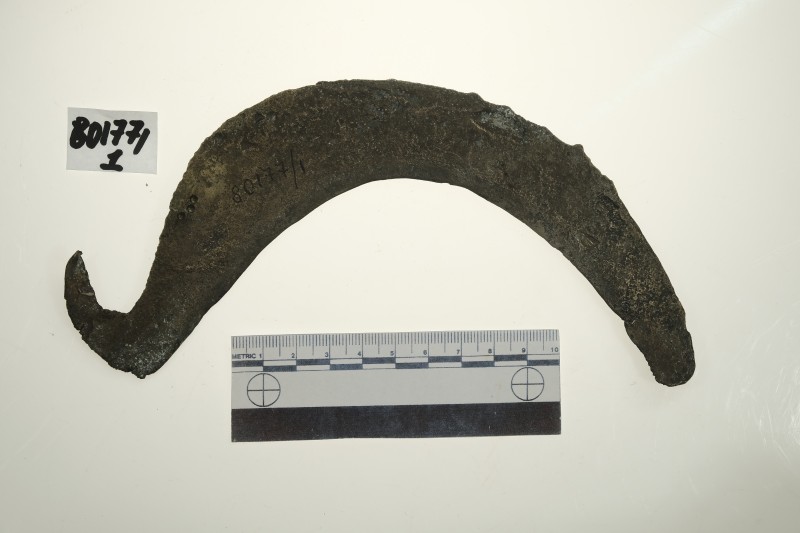 Серп гачкоподібний