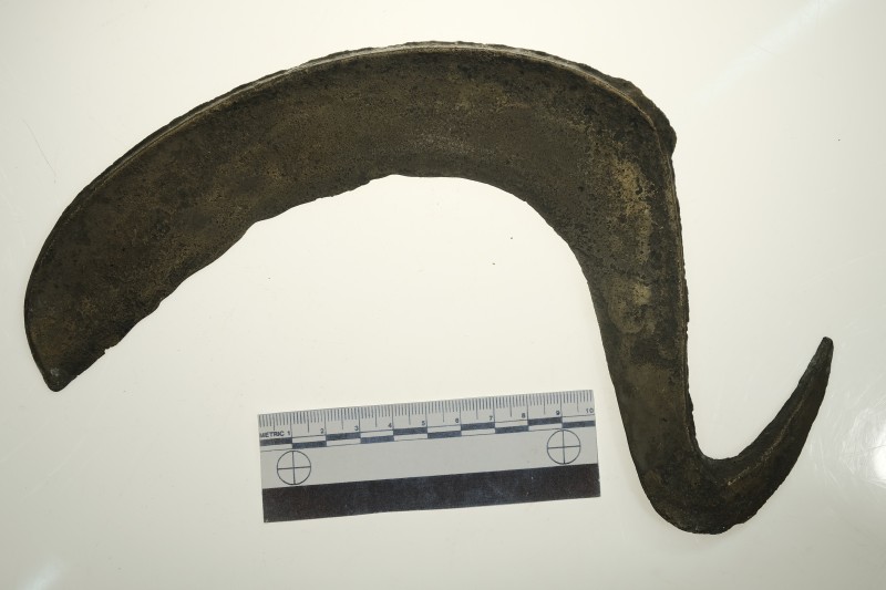 Серп гачкоподібний