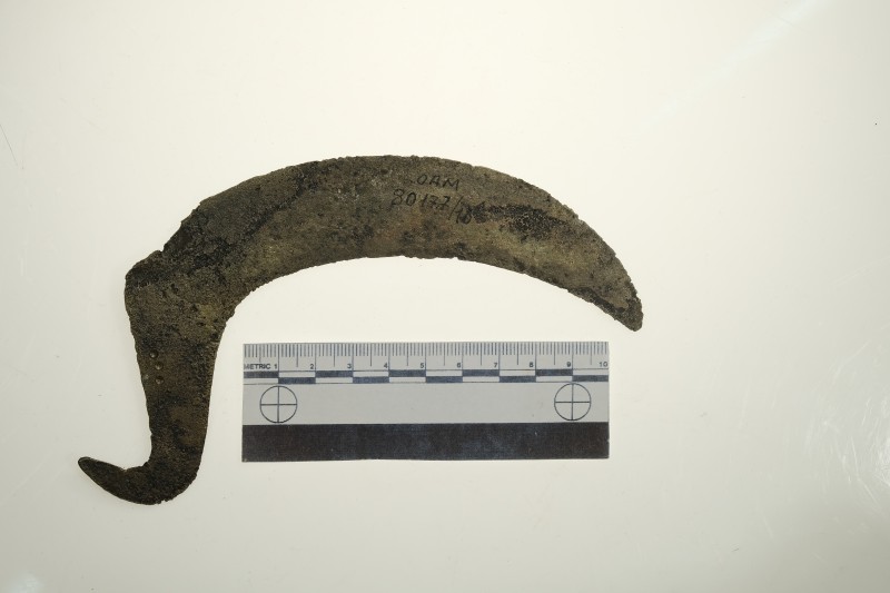 Серп гачкоподібний