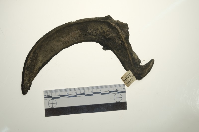 Серп гачкоподібний