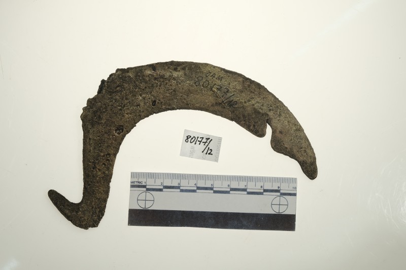 Серп гачкоподібний