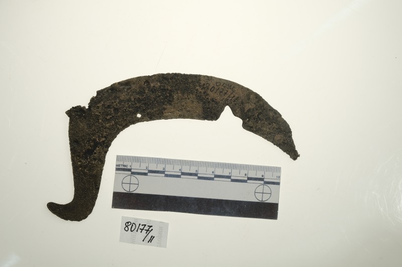 Серп гачкоподібний