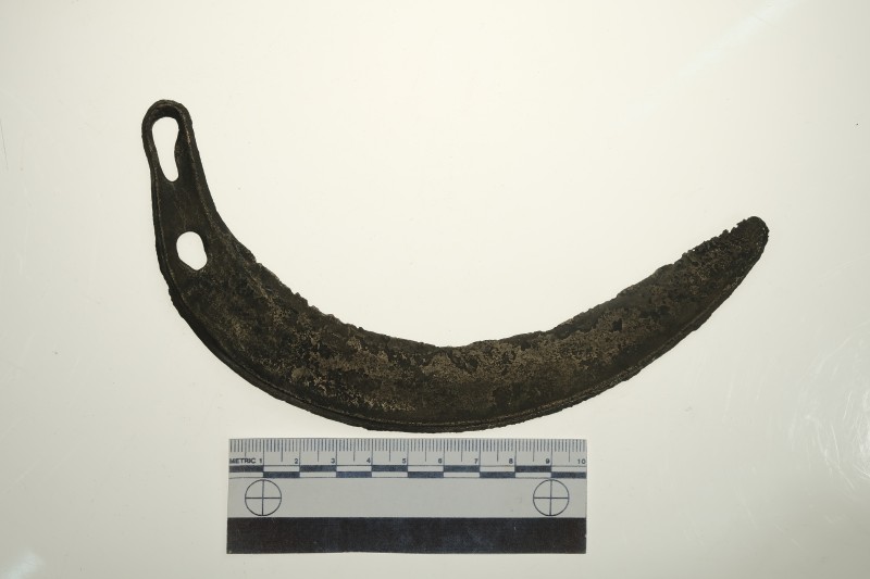 Серп округлено-загнутий