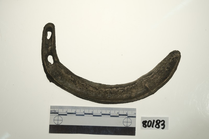 Серп округлено-загнутий