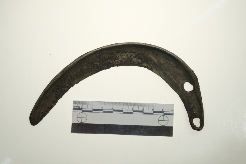 Серп округлено-загнутий