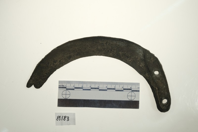 Серп округлено-загнутий