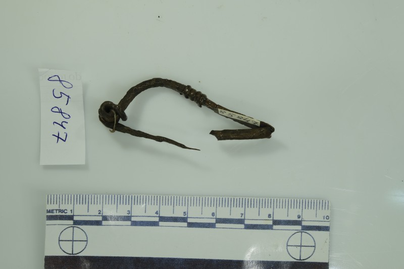 Фібула лучкова, підв'язана, двочленна