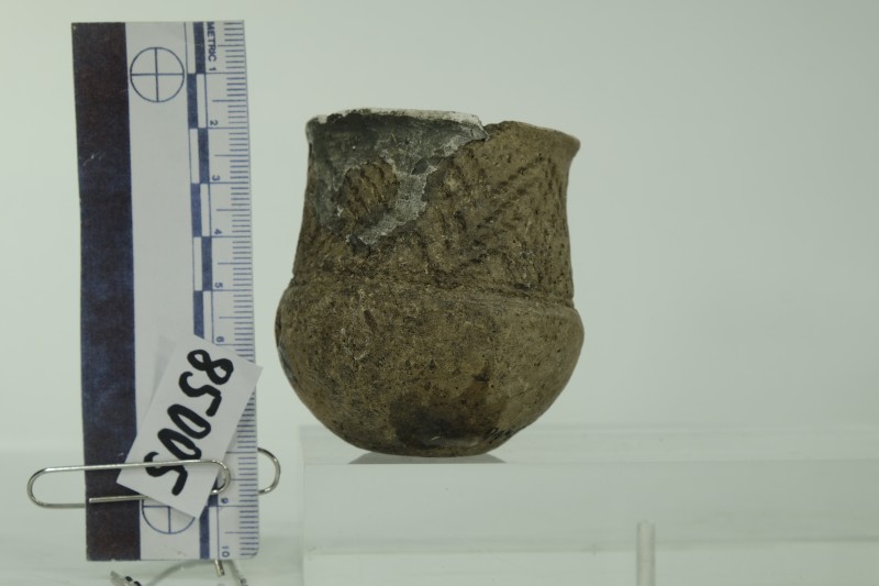 Кубок з високою шийкою