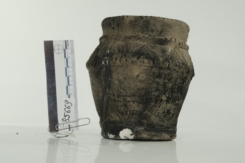 Ліпна посудина