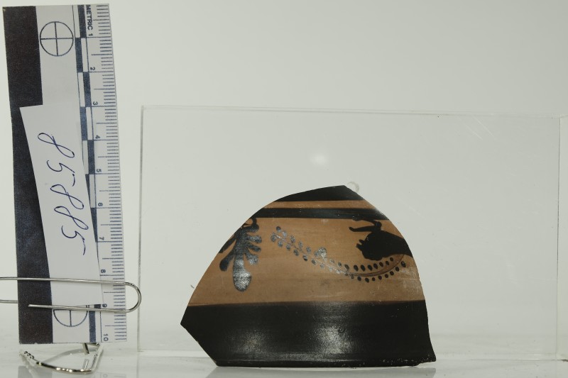 Фрагмент вінця та стінки чорнофігурного аттичного кіліка