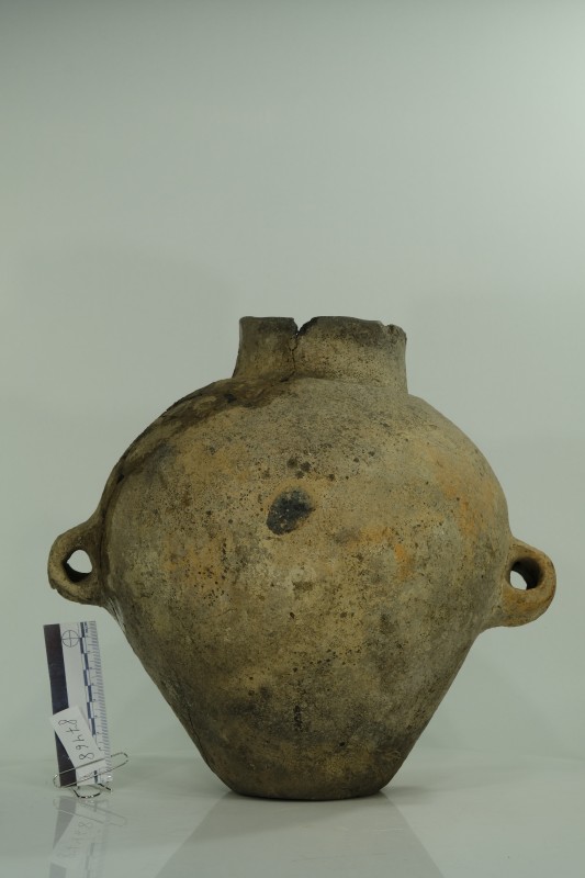 Амфора з яйцеподібним тулубом