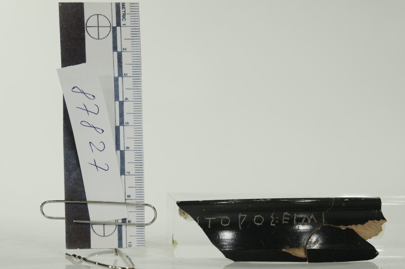 Вінчик атичного чорнолакового кіліка