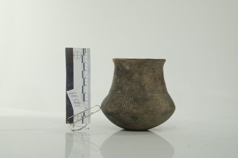 Ліпний  кубок