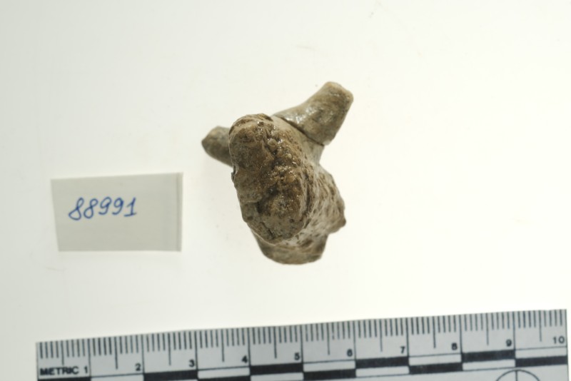 Частина зооморфної статуетки