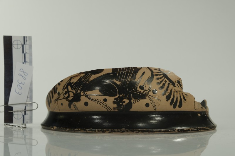 Вінчик чаші