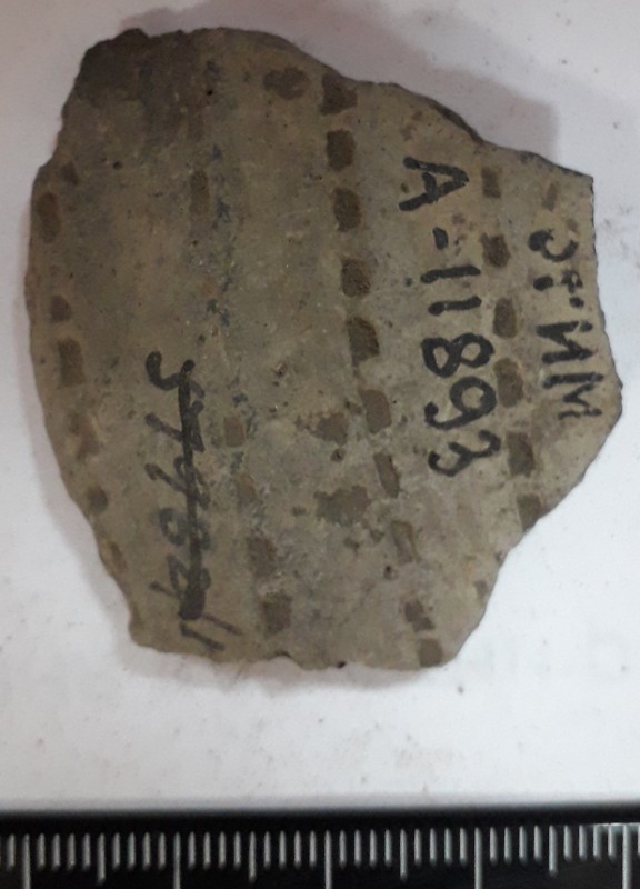 Фрагмент стінки ліпної сіроглиняної посудини.