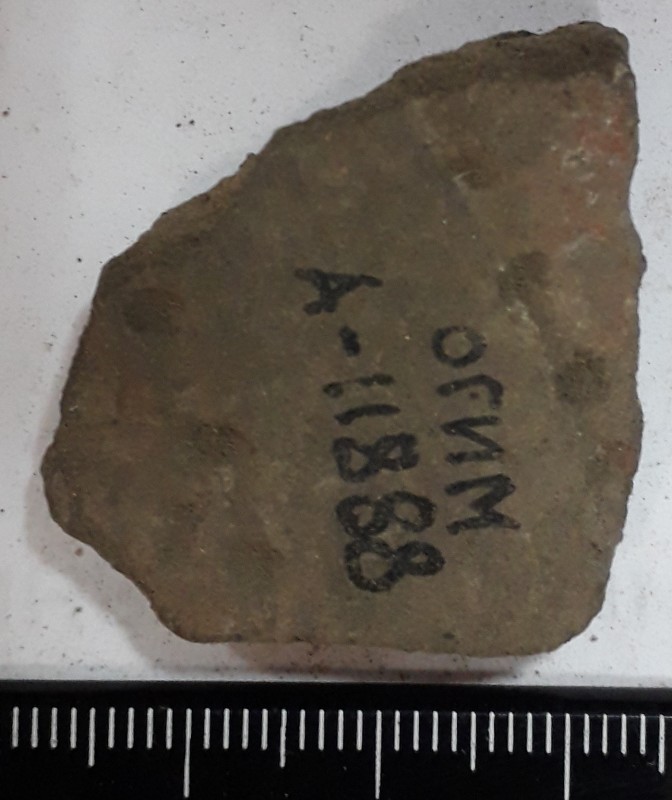 Фрагмент стінки ліпної сіроглиняної посудини.