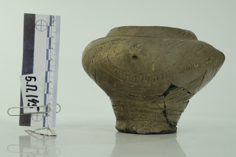 Грушеподібна посудина