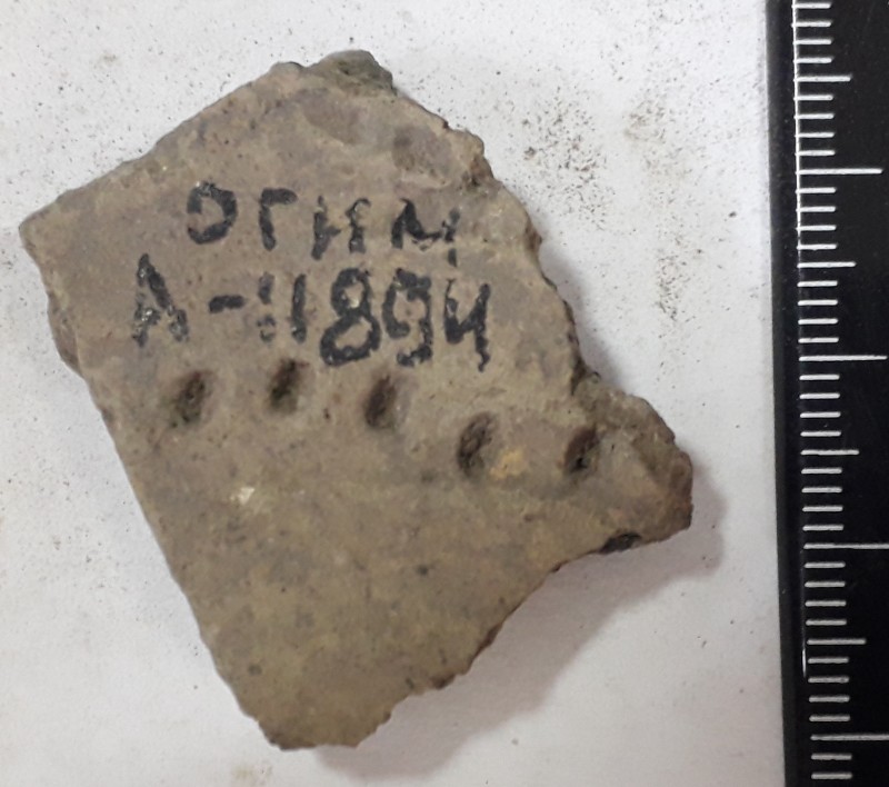 Фрагмент стінки ліпної сіроглиняної посудини.