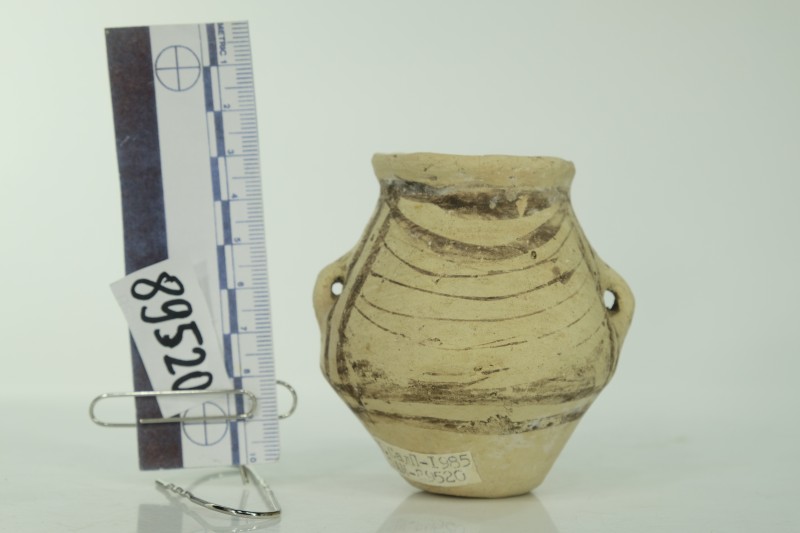 Мініатюрна посудина