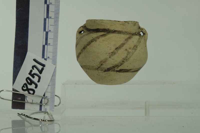 Мініатюрна посудина