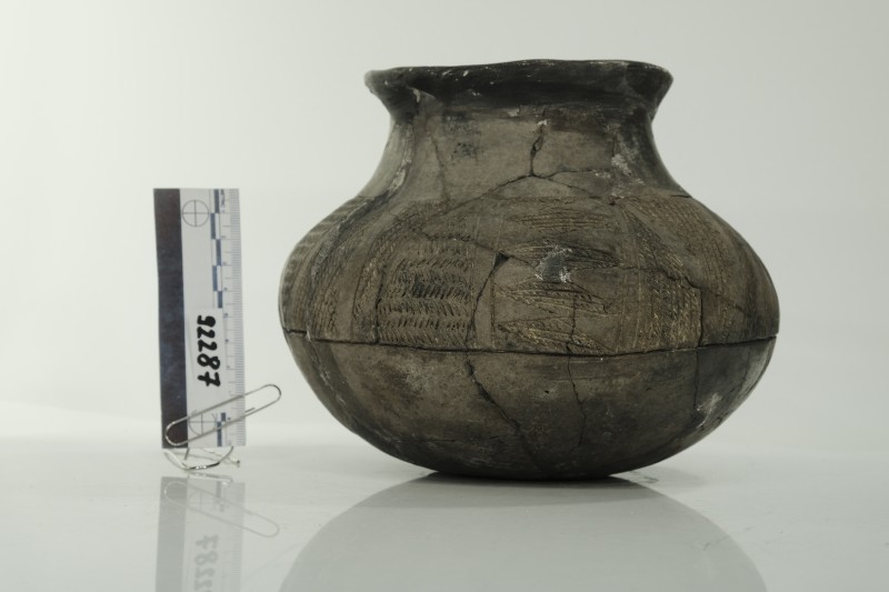 Ліпна кубкоподібна посудина