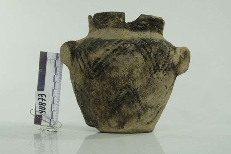 Ліпна посудина