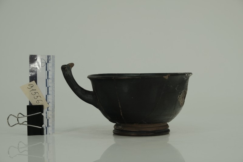 Кілік чорнолаковий