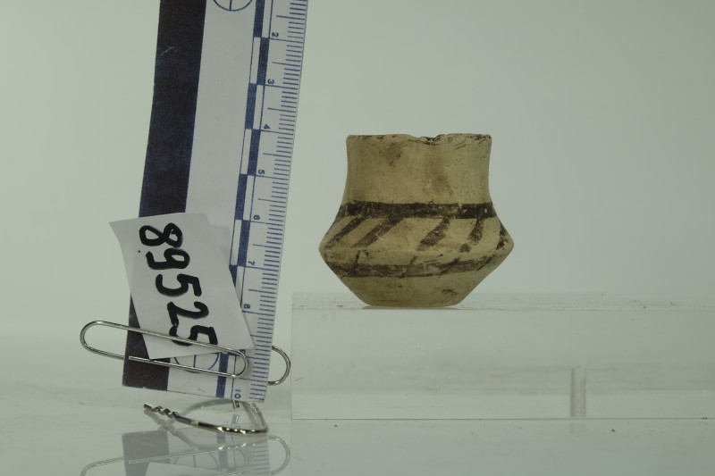 Мініатюрна посудина