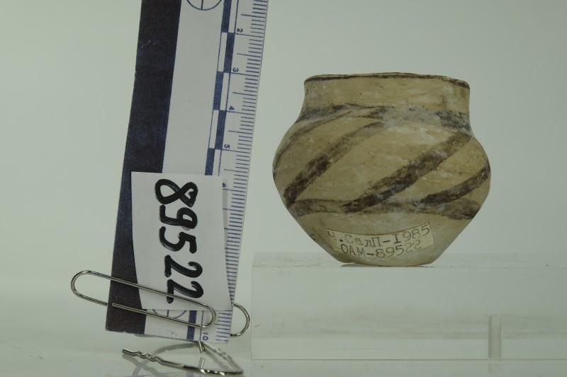 Мініатюрна посудина