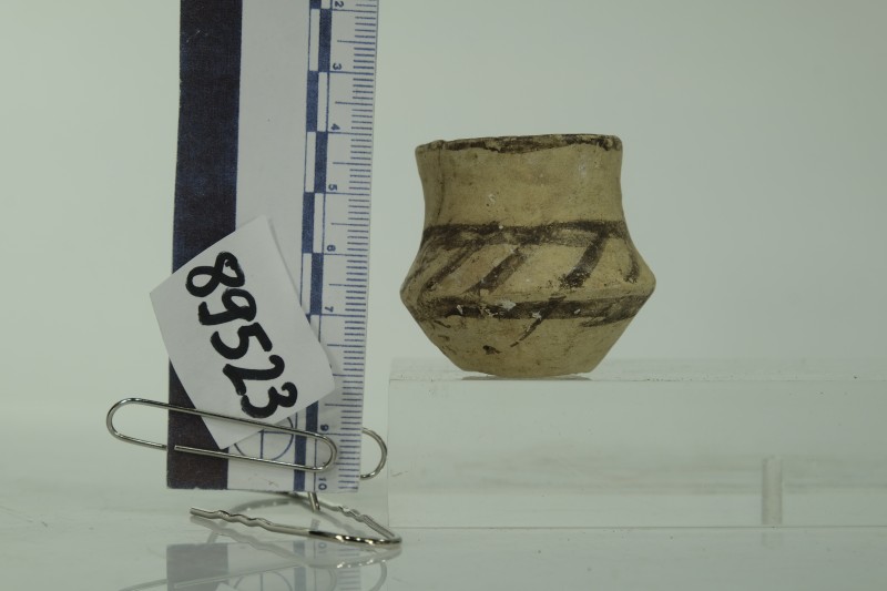 Мініатюрна посудина