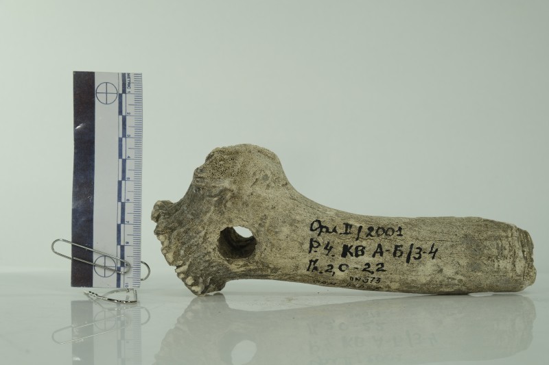 Знаряддя з рогу