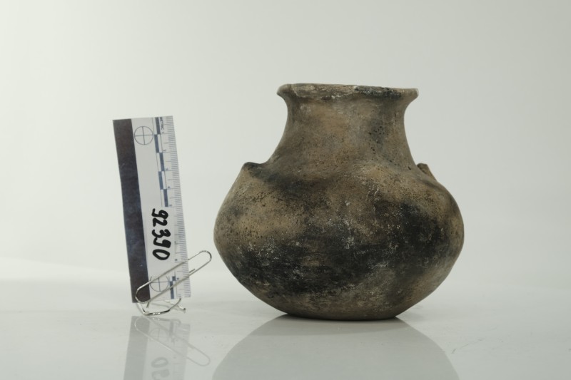 Ліпна посудина