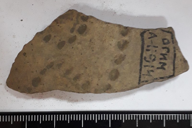 Фрагмент стінки ліпної сіроглиняної посудини.