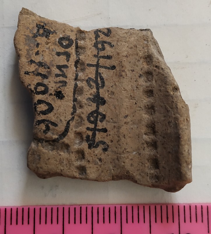 Фрагмент вінця ліпної сіроглиняної посудини.