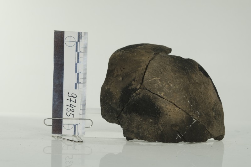 Частина ліпної орнаментованої миски