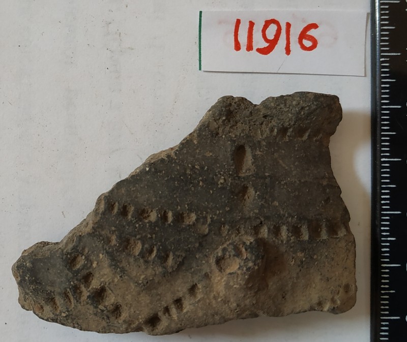 Фрагмент вінця ліпної сіроглиняної посудини.