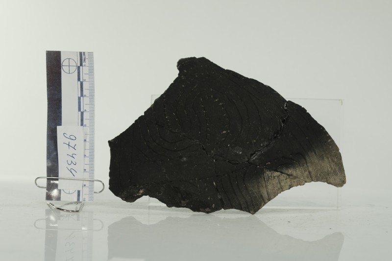 Фрагмент стінки столової орнаментованої посудини