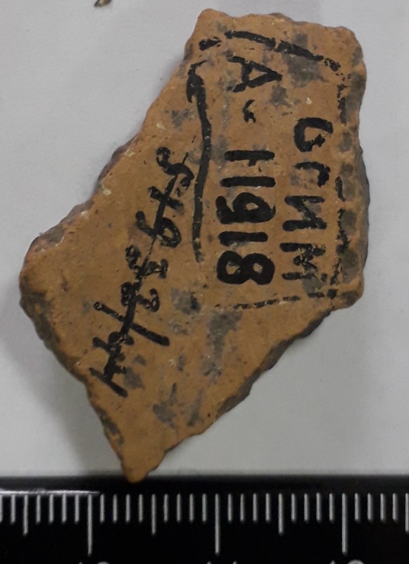 Фрагмент  стінки ліпної сіроглиняної посудини.