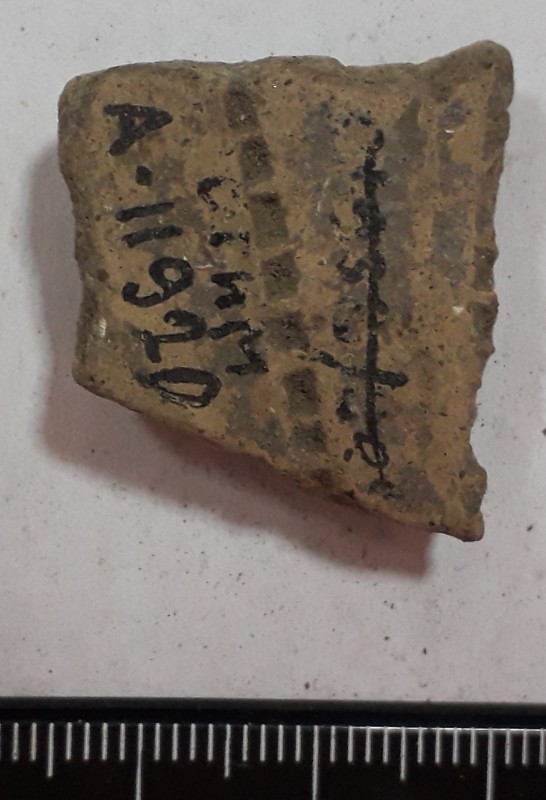 Фрагмент стінки ліпної сіроглиняної посудини.