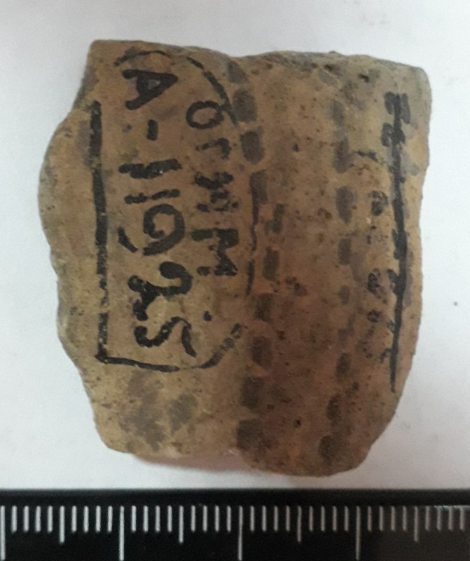 Фрагмент стінки ліпної жовтоглиняної посудини.