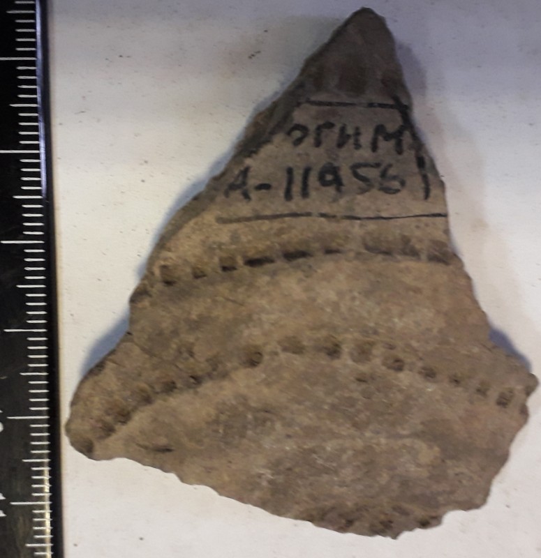 Фрагмент стінки ліпної сіроглиняної посудини.