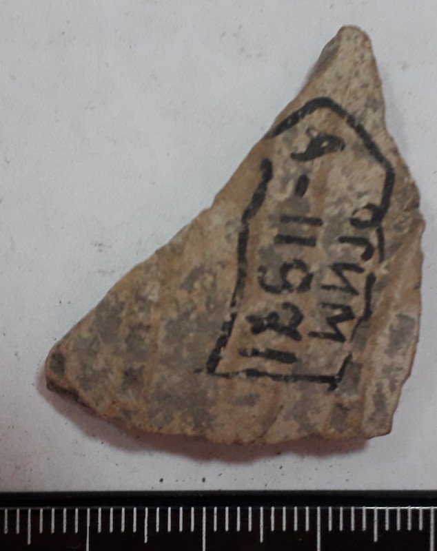 Фрагмент стінки ліпної жовтоглиняної посудини.