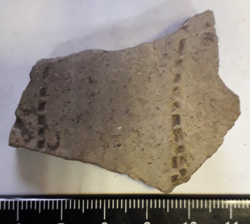 Фрагмент стінки ліпної сіроглиняної посудини.