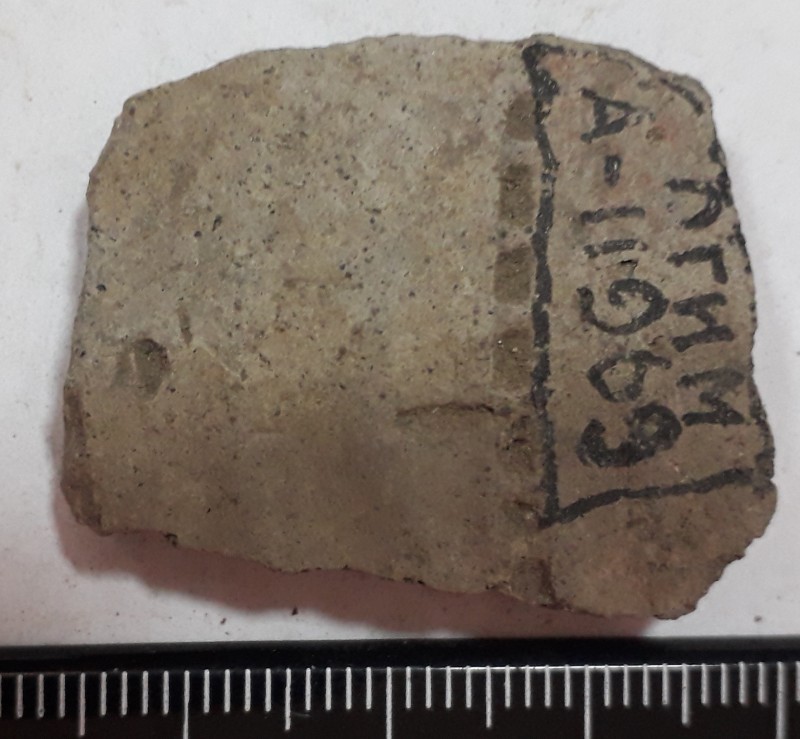 Фрагмент стінки ліпної сіроглиняної посудини.