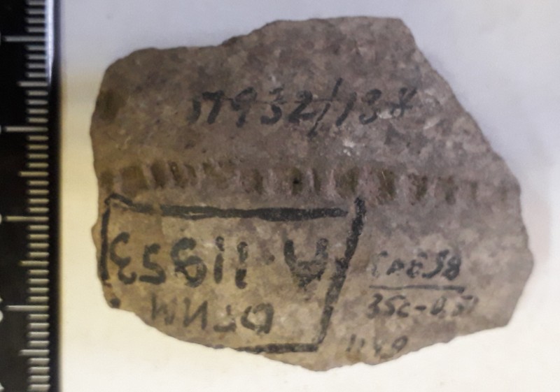 Фрагмент стінки ліпної сіроглиняної посудини.