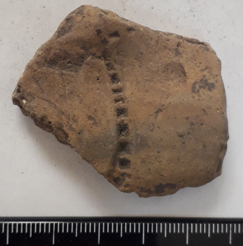 Фрагмент стінки ліпної жовтоглиняної посудини.